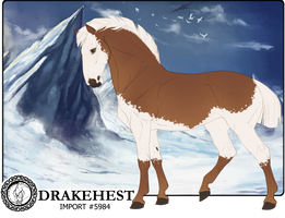 Drakehest Import 5984