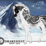 Drakehest Import 20025