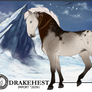 Drakehest Import 20391