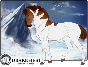 Drakehest Import 20464