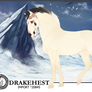 Drakehest Import 20845