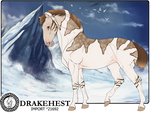 Drakehest Import 21692 by DrakehestOfficial