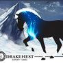 Drakehest Export 10692