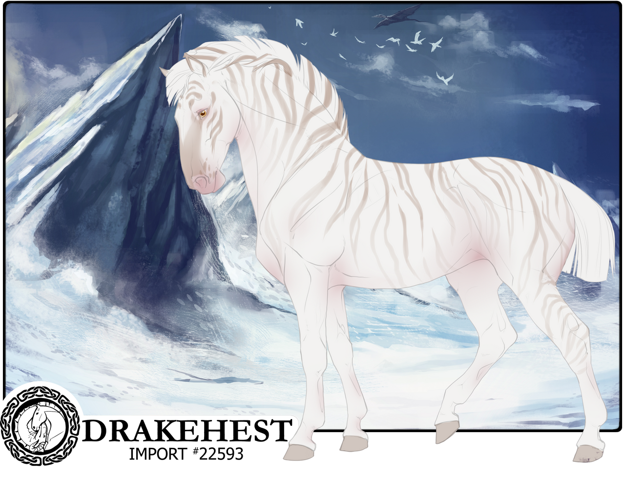 Drakehest Import 22593