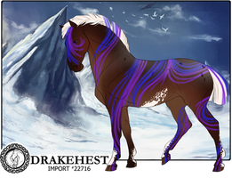 Drakehest Import 22716
