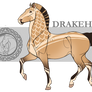Drakehest Group Horse 15020