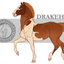Drakehest Group Horse 15005