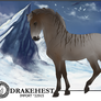 Drakehest Import 22915