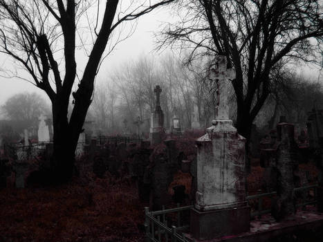 Purple Cemetery