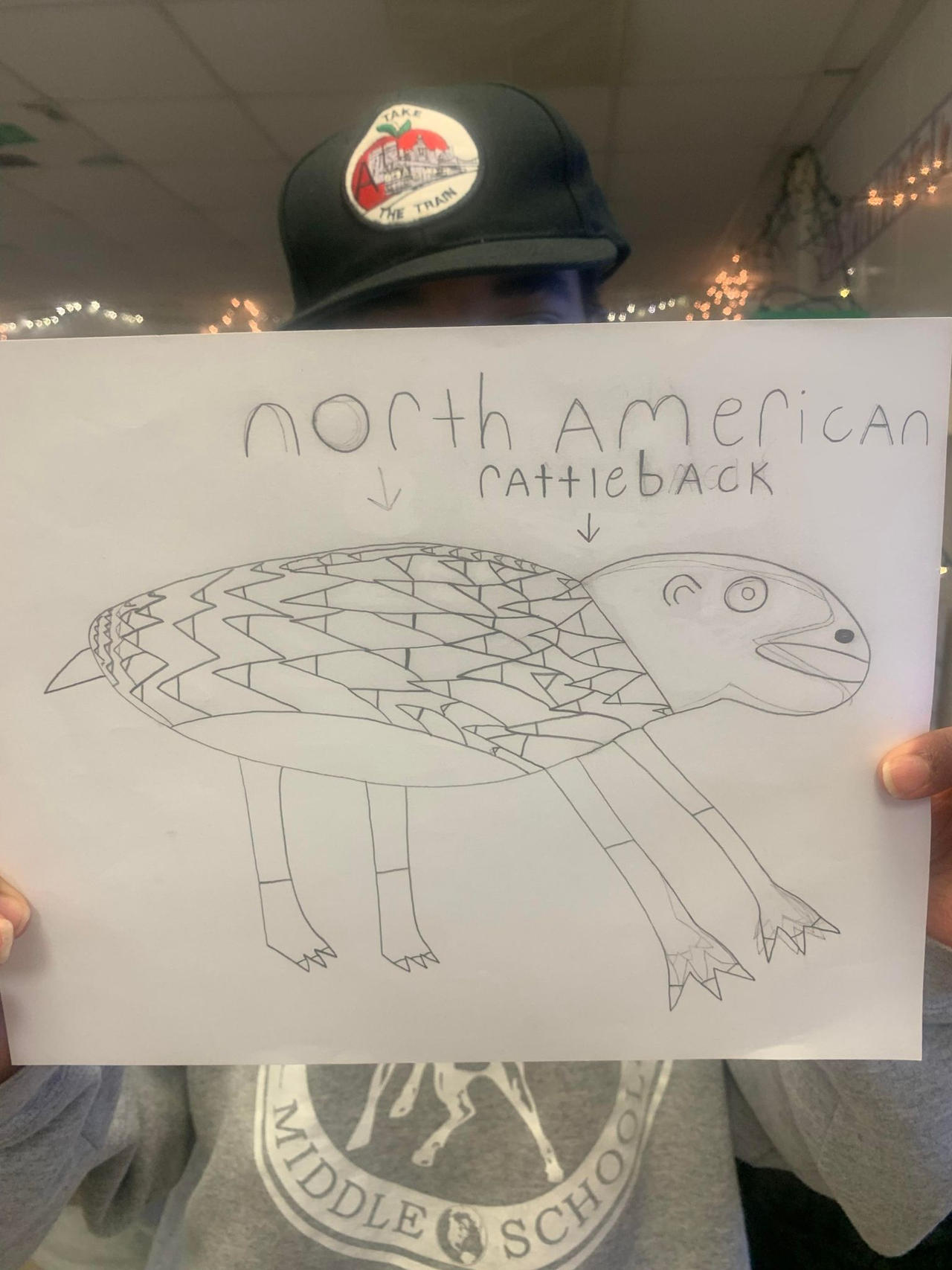 North American Rattleback by JB15THEFUTUREISWILD on DeviantArt