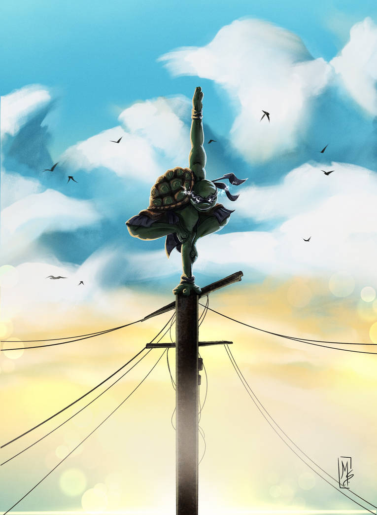 Ninja turttle fan art by Drawims on DeviantArt