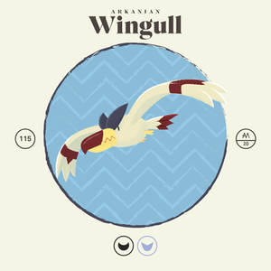 Explore the Best Wingull Art | DeviantArt