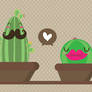 Cactus family