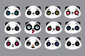 Panda faces