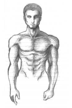 Anatomical Study