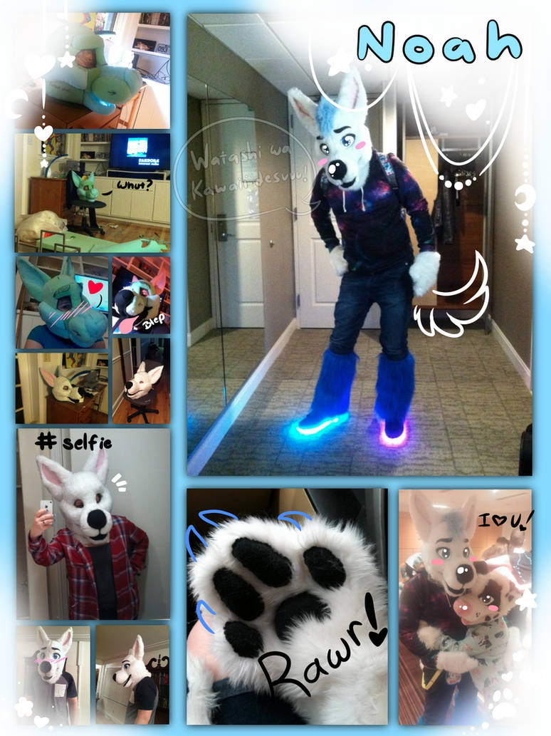 Fursuit Making Process By Xenodawg On Deviantart Fursuit Making Process By Xenodawg On Deviantart