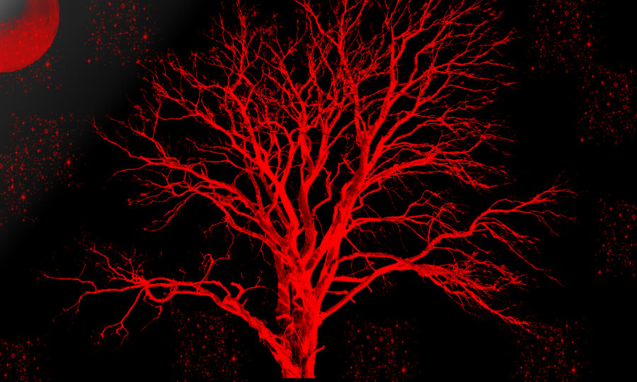 creepy tree background by legendary444 on DeviantArt