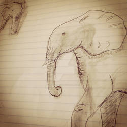 Elephant Sketch