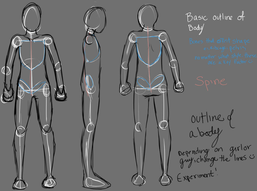 Body lines? by Snipes94 on DeviantArt
