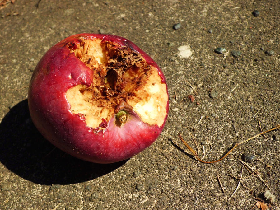 Pinterest Rotten Apple Rotten Apple by redmoose24 on DeviantArt