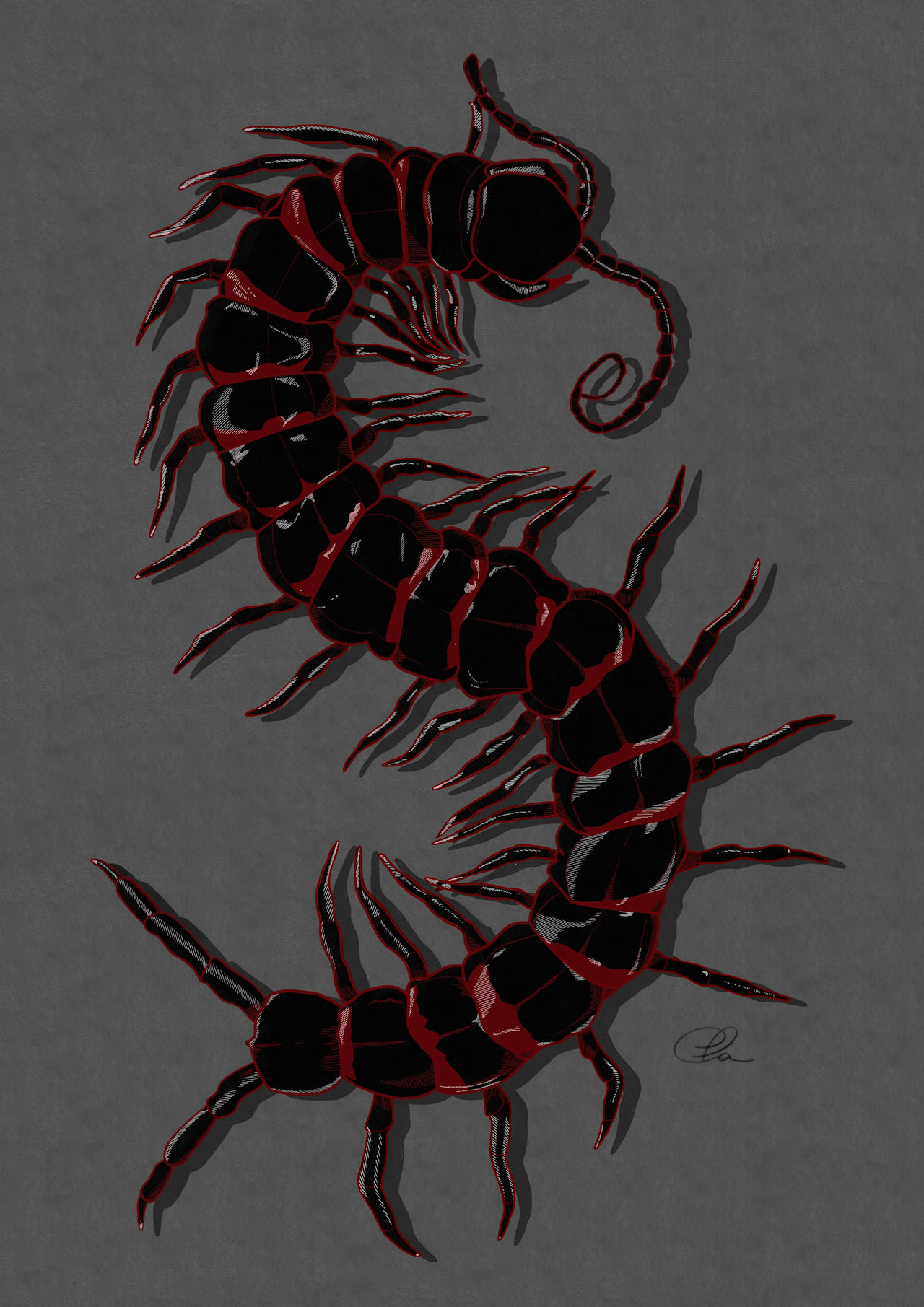 Insect 1 by ClaMoon on DeviantArt