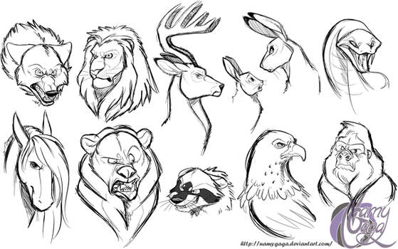 Animals Cartoon Sketches