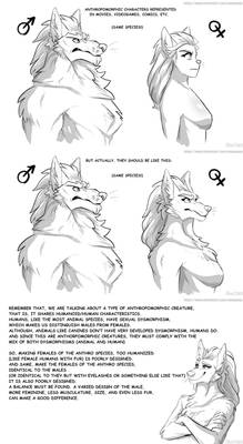 Antropomorphic females design must be