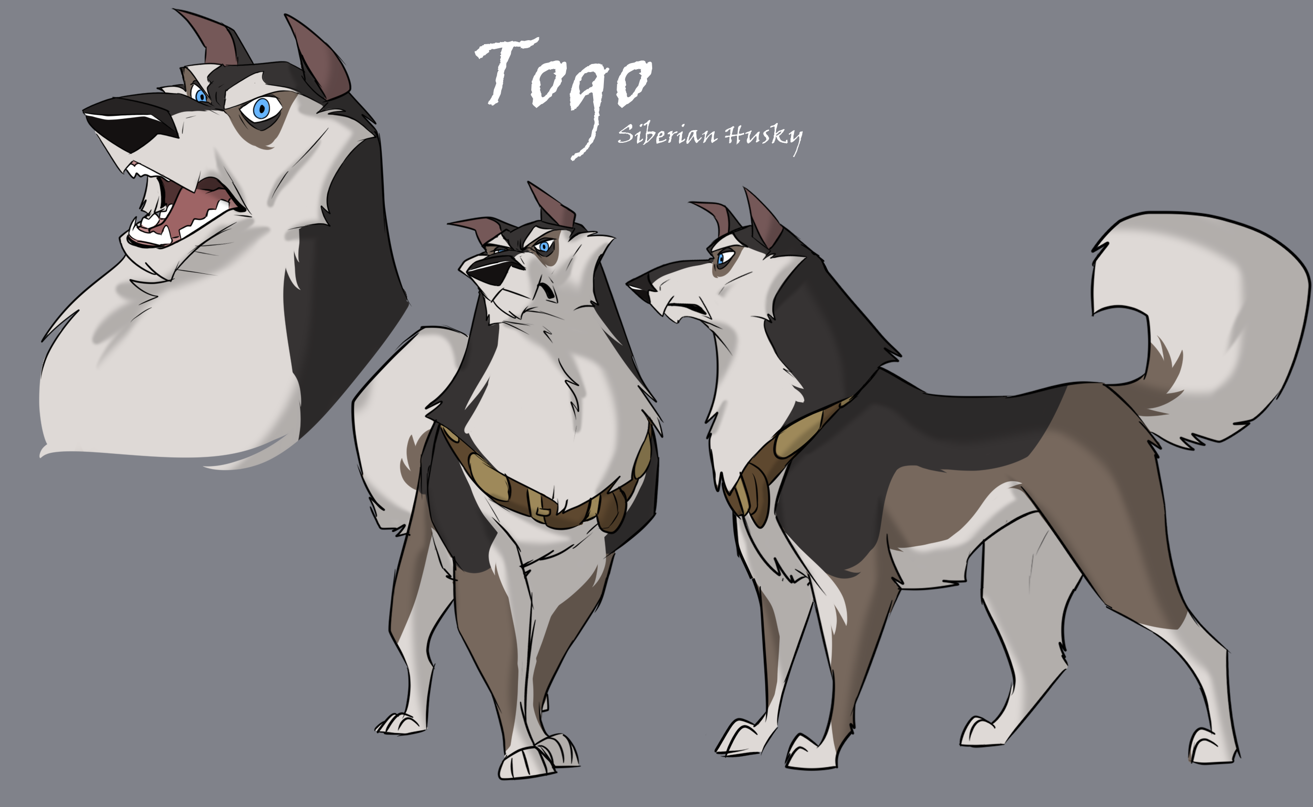 Toogo Rabbit AU - Togo Refecence sheet by NamyG on DeviantArt
