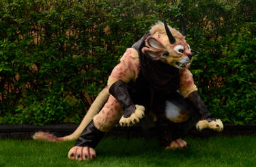 Guild Wars 2 - Charr