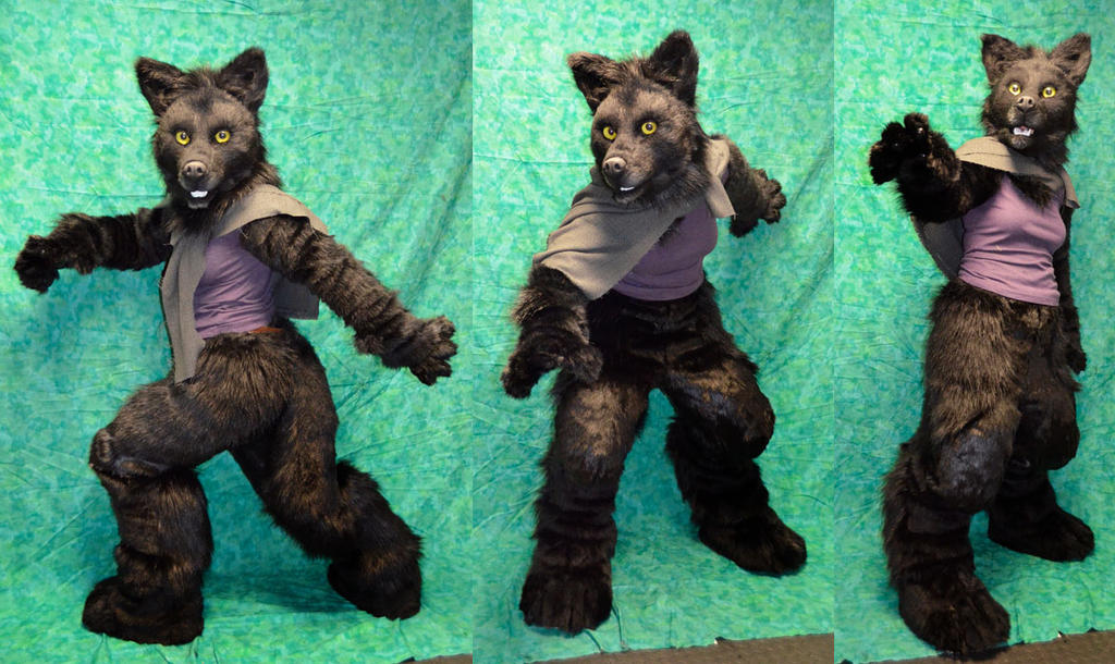 Black wolf 3/4 Partial