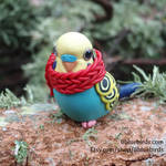 Winter Budgie by The-Wandering-Bird