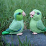 Green Parrotlet Pair