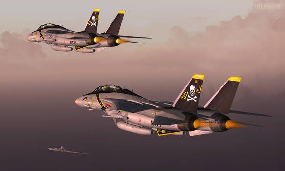 Tomcat Patrol