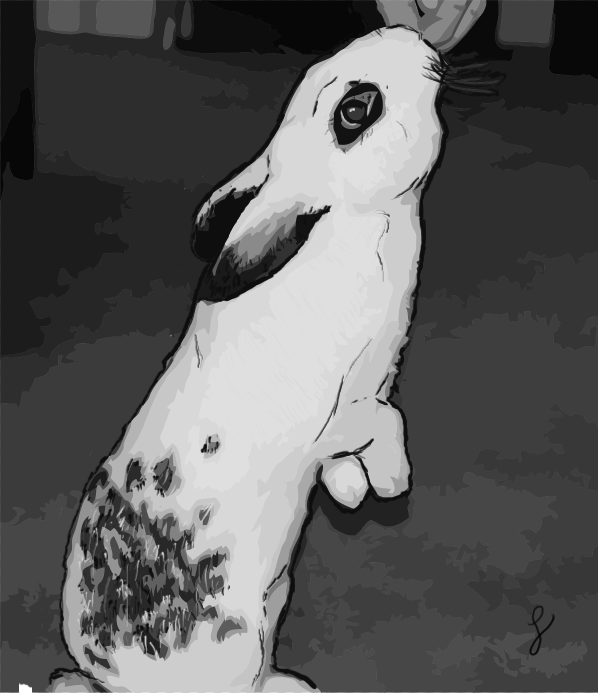 Drawing - Reddit gift bunny pic