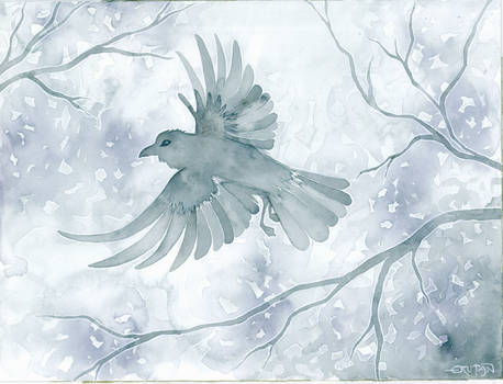 Winter Crow