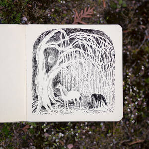 Sketchbook ghost tree