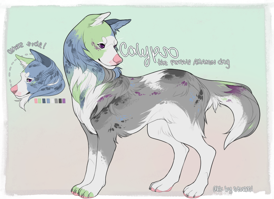 calypso reference commission