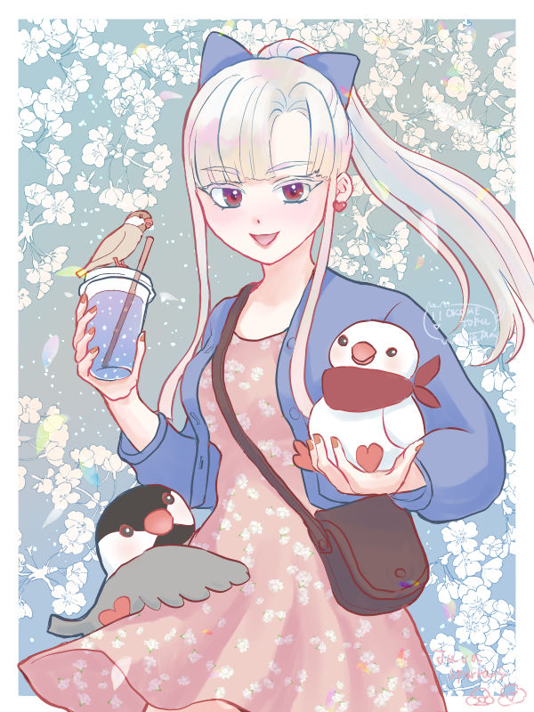 Girl Java Man Java sparrow girl VII by OkomeTofu on DeviantArt