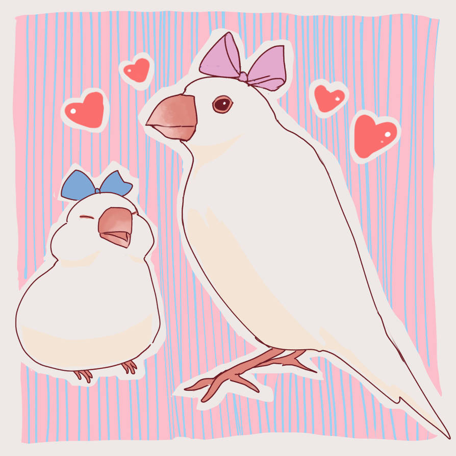 Java sparrows by OkomeTofu on DeviantArt
