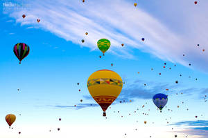 Balloon Fiesta