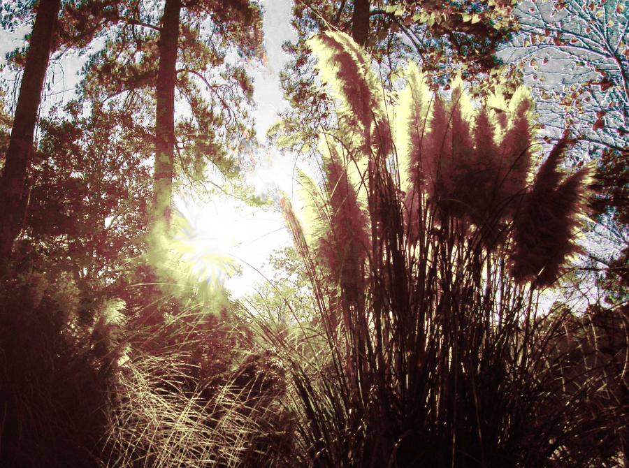 Cattails by cheesebunny01 on DeviantArt