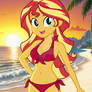 Sunset Shimmer on the beach