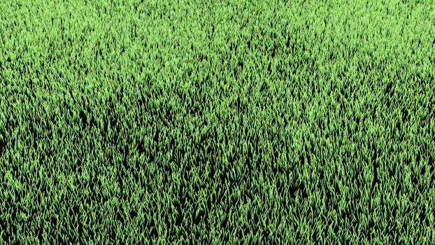 Grass Test