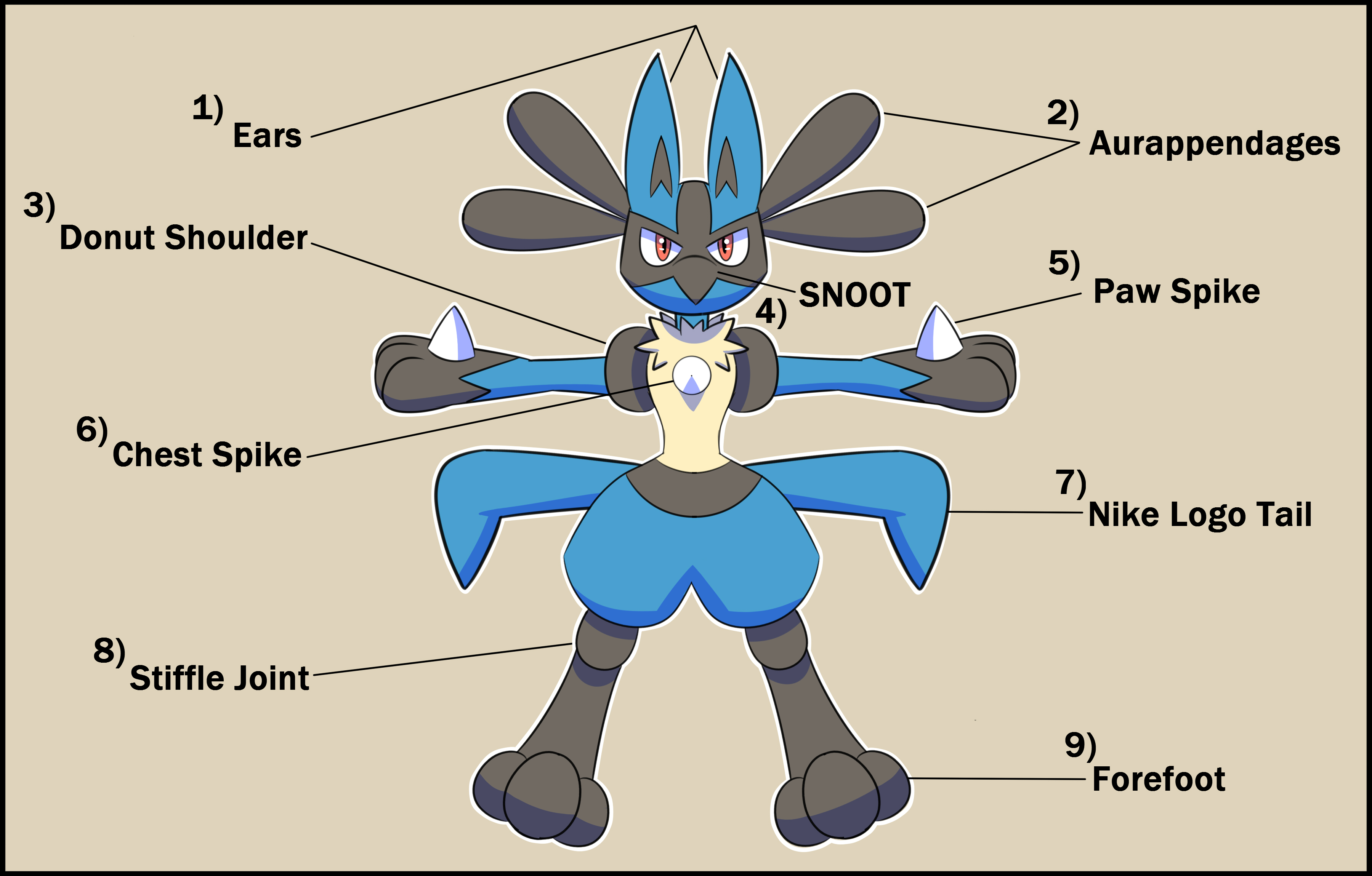 Lucario Anatomy