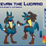 Revan the Lucario