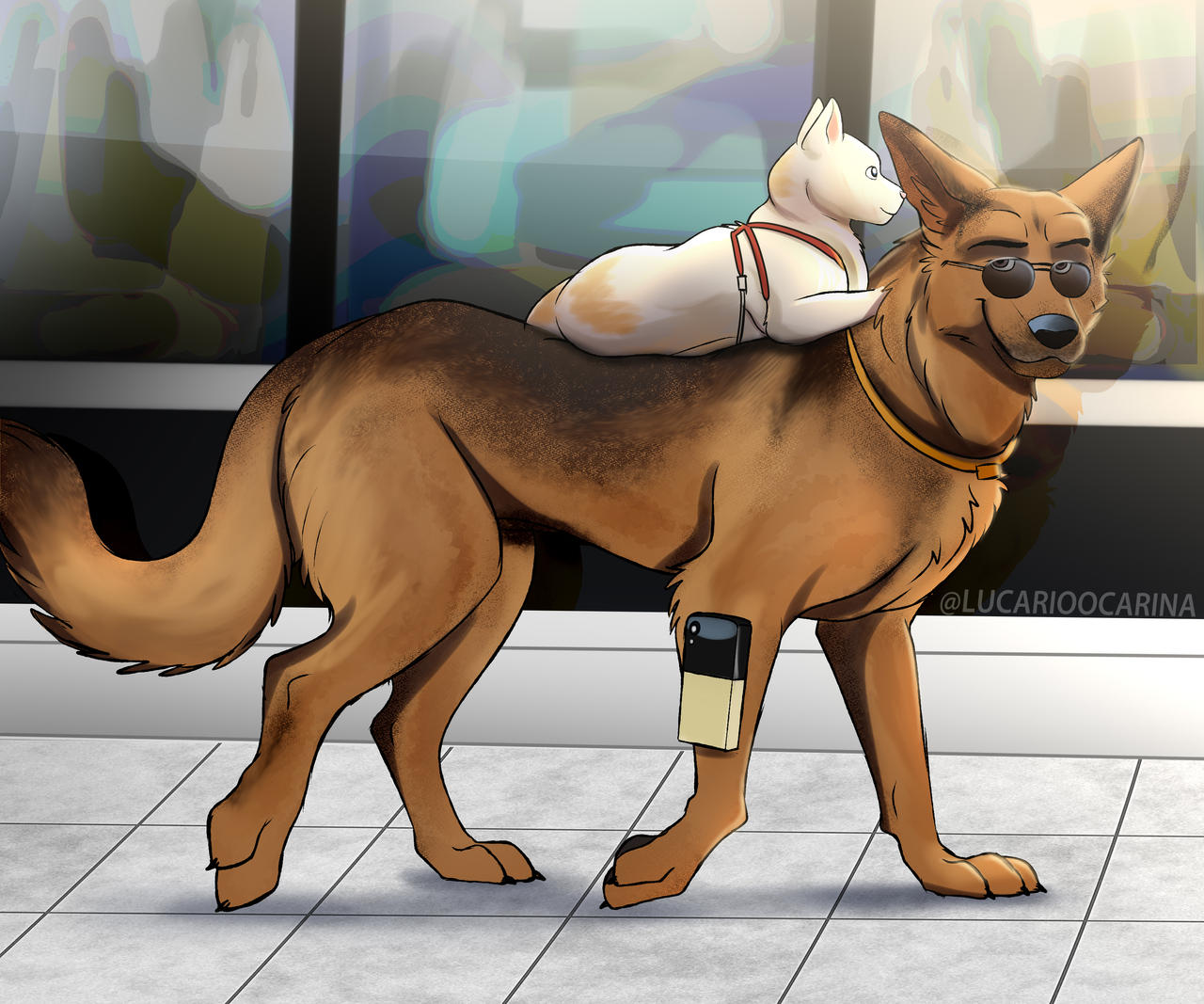 Kitten Riding Dog Cat Riding Dog by PUPPERCASE on DeviantArt