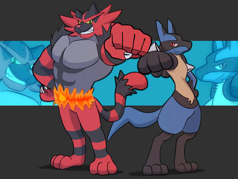 Lucario and Incineroar team up