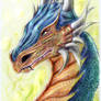Dragon coloured