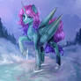 Pony on ice