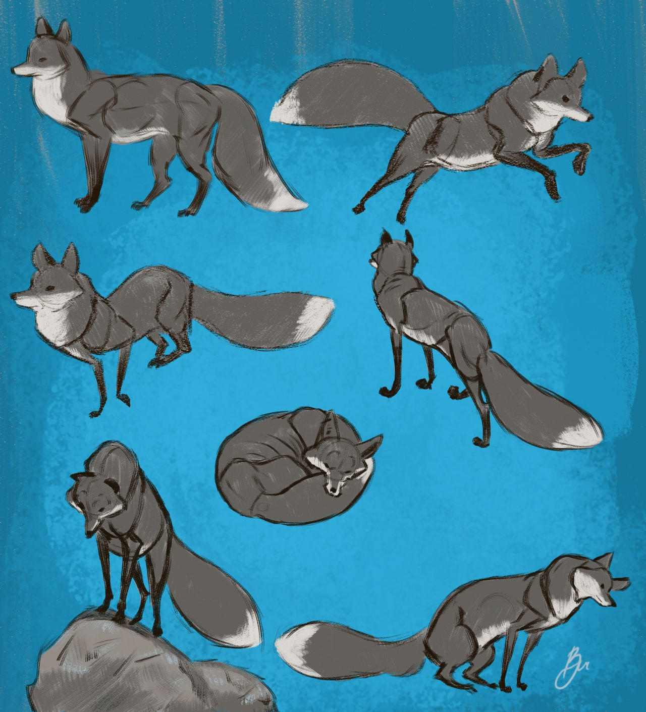 Fox Gestures | 2020 by getJinxxed on DeviantArt